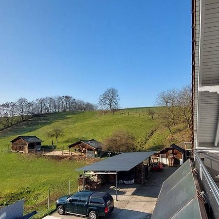 Grosse Tolle 4 Zimmer Ferienwohnung Im Herzen Des Odenwaldes Mörlenbach Extérieur photo