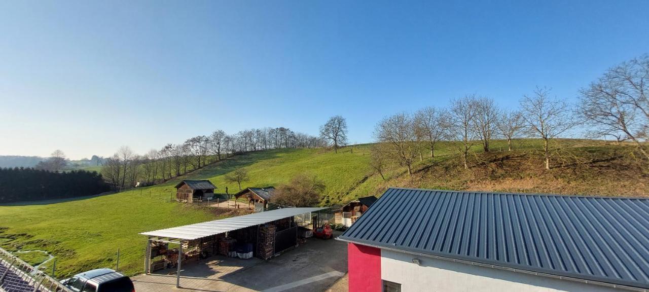 Grosse Tolle 4 Zimmer Ferienwohnung Im Herzen Des Odenwaldes Mörlenbach Extérieur photo