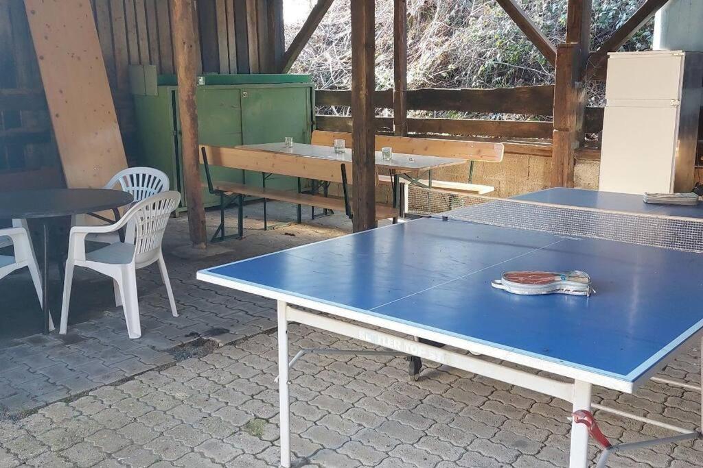 Grosse Tolle 4 Zimmer Ferienwohnung Im Herzen Des Odenwaldes Mörlenbach Extérieur photo