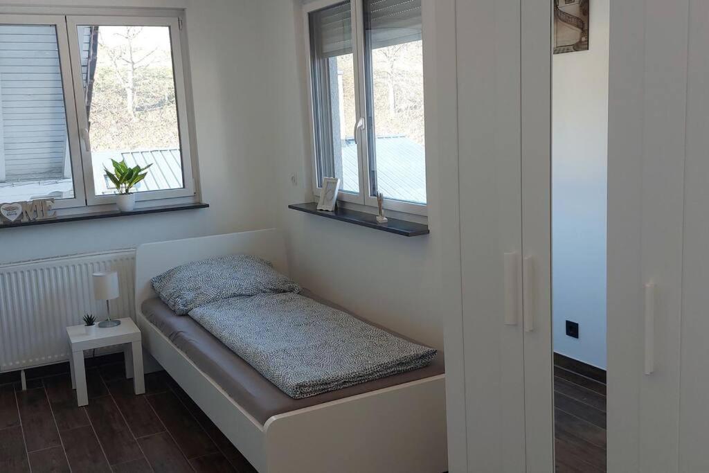 Grosse Tolle 4 Zimmer Ferienwohnung Im Herzen Des Odenwaldes Mörlenbach Extérieur photo