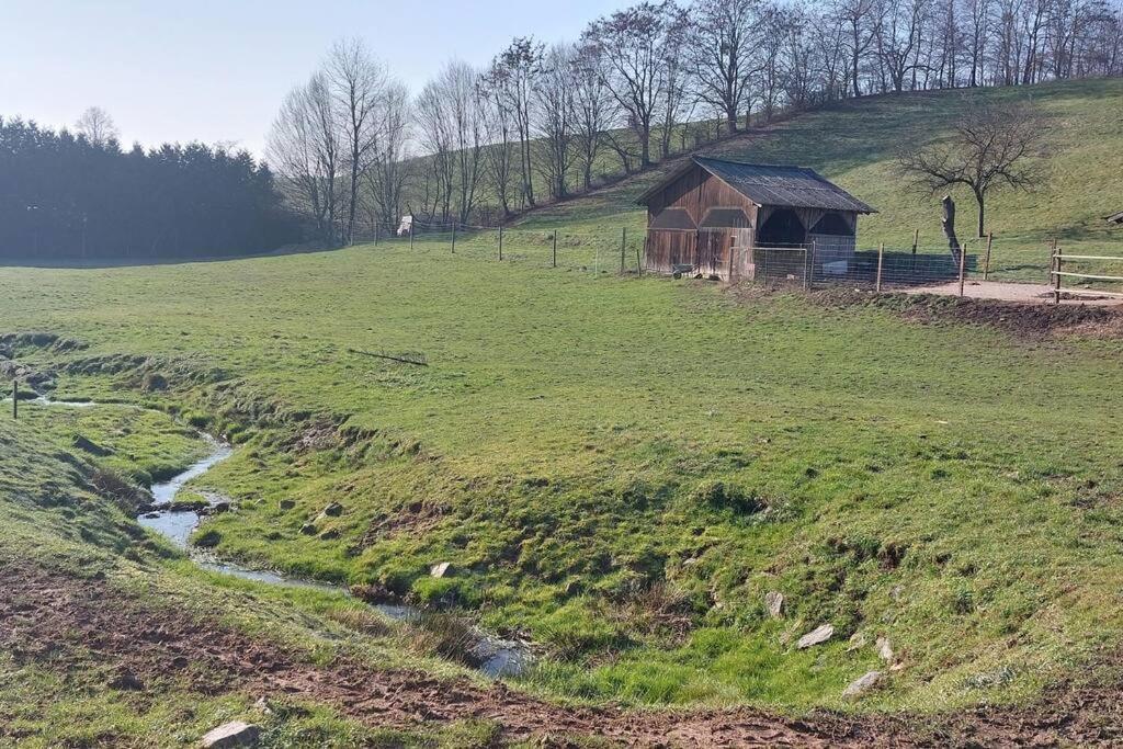 Grosse Tolle 4 Zimmer Ferienwohnung Im Herzen Des Odenwaldes Mörlenbach Extérieur photo