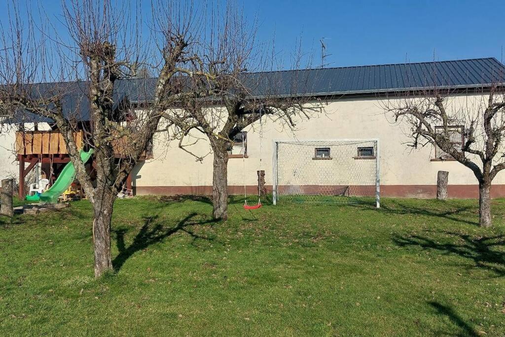 Grosse Tolle 4 Zimmer Ferienwohnung Im Herzen Des Odenwaldes Mörlenbach Extérieur photo